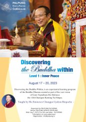 Discovering the Buddha within.jpg