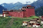 palpung-tibet-1.jpg